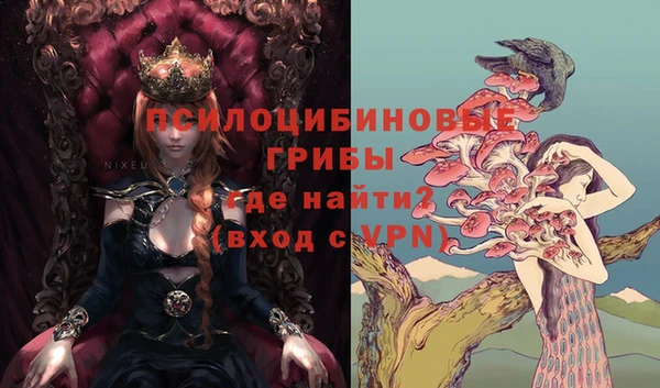 наркотики Алексин