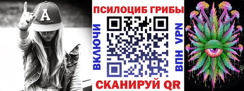 где продают   darknet какой сайт  Псилоцибиновые грибы Cubensis  Беломорск 